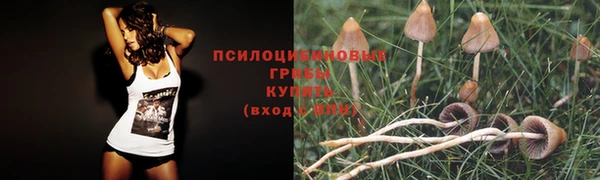 гашик Беломорск