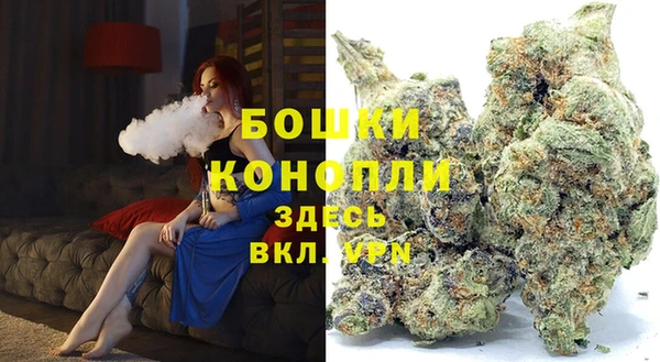 a pvp Белокуриха