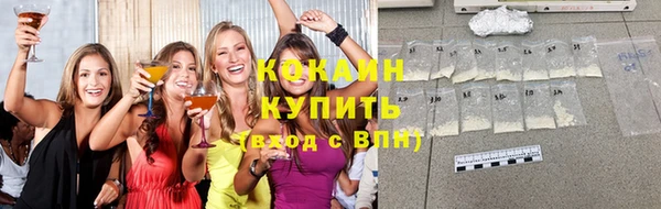 прущий лед Богданович