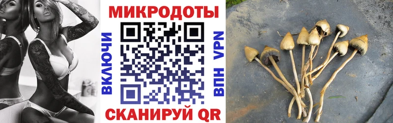 купить  сайты  Кемь  Галлюциногенные грибы MAGIC MUSHROOMS 